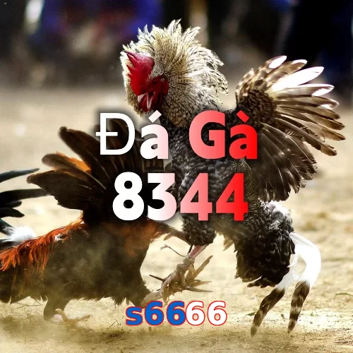 s6666